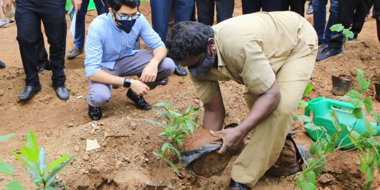 पर्यावरण दिनानिमित्त वरळीत मंत्री आदित्य ठाकरे यांच्या हस्ते वृक्षारोपण