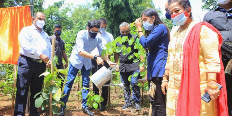 प्रत्येकाने आपल्या निवासी तसेच कार्यालयाच्या परिसरात वृक्षारोपण करावे – पर्यावरण मंत्री आदित्य ठाकरे