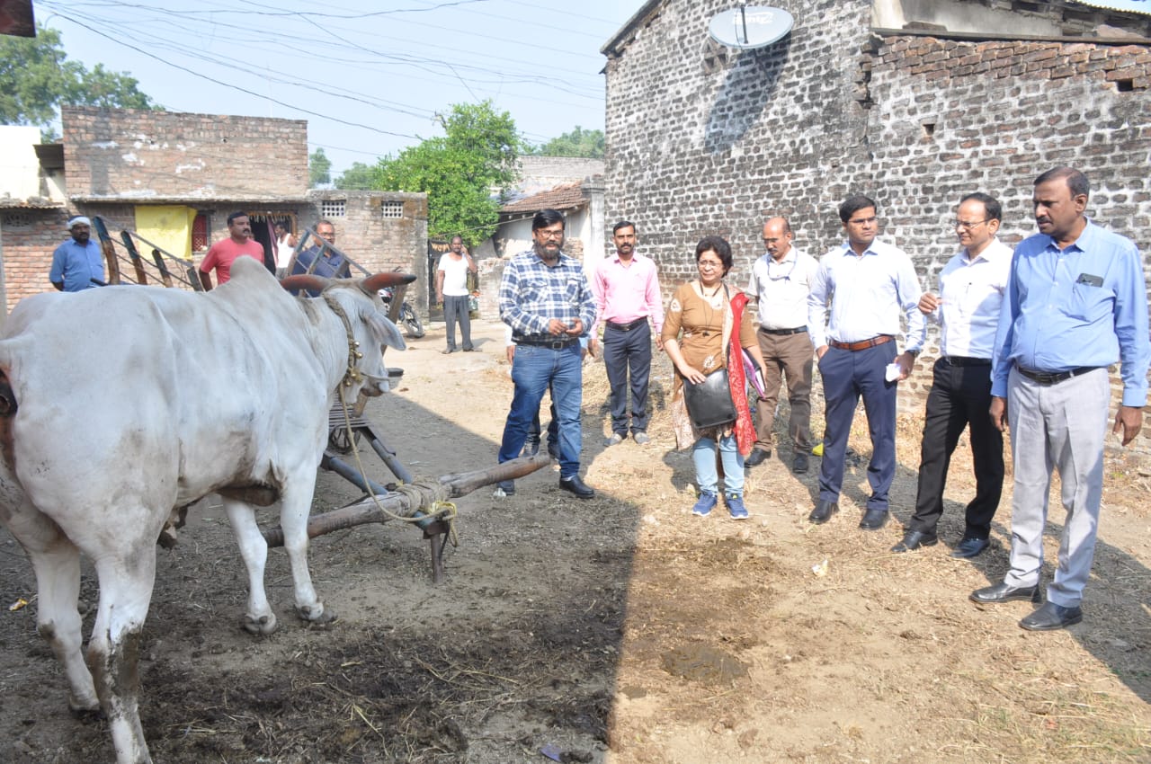 जनावरांना लम्पी चर्मरोग मुक्त करण्यासाठी काळजी व सुश्रुषा यावर ८० टक्के भर द्यावा – पशु संवर्धन आयुक्त सचिंद्र प्रताप सिंह