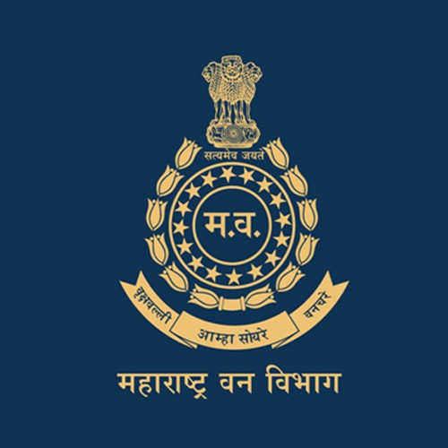 नवीन झाडे लावून पर्यावरणाची हानी भरून काढण्याच्या अटीवरच लोह खनिज प्रकल्पाला टप्प्याटप्प्याने काम करण्यास परवानगी – वनविभाग – महासंवाद नवीन झाडे लावून पर्यावरणाची हानी भरून काढण्याच्या अटीवरच लोह खनिज प्रकल्पाला टप्प्याटप्प्याने काम करण्यास परवानगी – वनविभाग – महासंवाद